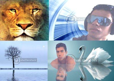 c bien d avoire des photo comme sevenir
